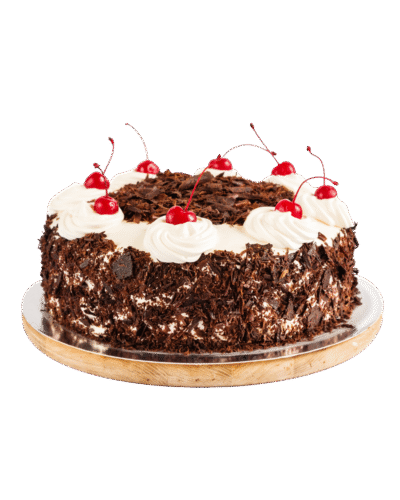 Black forest cake decorated with whipped cream and cherries